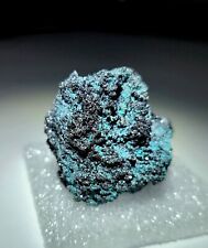 ***SUPERB-Classic Teal Blue Enargite crystals on matrix, Butte Montana*** picture