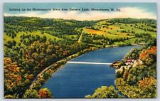Vintage Postcard Monongahela River Dorseys Knob Morgantown West Virginia picture