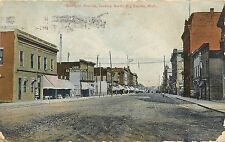 c1910 Postcard; Michigan Avenue Street Scene Big Rapids MI Mecosta Co. Posted picture