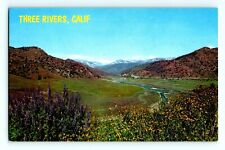 Kaweah River Just Below Three Rivers Ca. Vintage Postcard (A12) picture