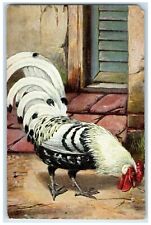 Rooster Cock Postcard Chicken Hen Oilette Tuck's c1910's Posted Antique picture