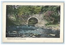 c1910's Blowmedown Bridge Cornish New Hampshire NH Unposted Antique Postcard picture