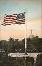 Washington D.C. American Flag Pledge of Allegiance c1910 Vintage Postcard picture
