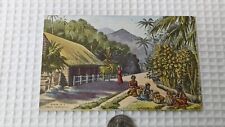 Vintage Post Card Cocoa Plantation Scene People Collecting Pods Jungle Mountains picture