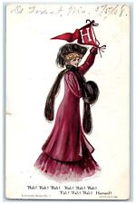 1908 Pretty Woman Pennant Harvard De Forest Wisconsin WI Antique Postcard picture