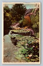 Victoria BC, The Lily Pond In Garden, British Columbia Canada Vintage Postcard picture