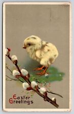 Easter Greetings~Chick W/ Ladybug & Willow~PM 1911~Printed In Germany~Postcard picture