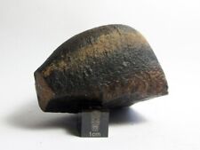 NWA x Meteorite 197.91g Cool Cosmic Chondrite w/ Flowlines picture