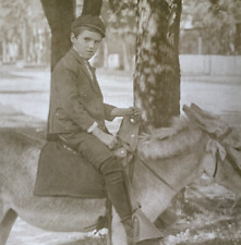 Portrait Older Boy Riding on a Donkey Real Photo Postcard RPPC picture
