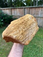 Texas Petrified Fossilized Wood Rotted Agatized Log Ideal Aquarium Piece picture