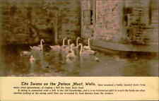 Postcard: The Swans on the Palace Moat, Wells picture