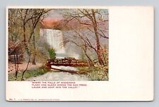 Postcard Minnehaha Falls Minneapolis Minnesota, Antique N13 picture