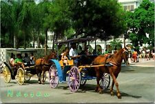 Nassau, Bahamas Horse & Carriage With Pretty Girl Postcard picture