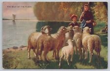 Postcard The Best of the Flock Edw, Stern & Co Vintage Undivided Back picture