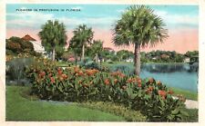 Postcard FL Flowers in Profusion in Florida 1932 Antique Vintage PC e5252 picture