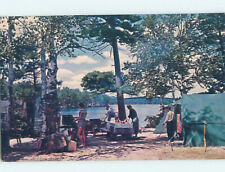 Pre-1980 CAMP SCENE Adirondacks - Fish Creek New York NY 7/8 AE3288 picture