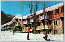 Boyne Falls, Michigan MI - Boyne Mountain Lodge - Vintage Postcard - Unposted picture