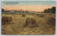 Postcard Harvest Field at Sunset, Vintage DB by EA Bishop, Racine, Wisconsin picture