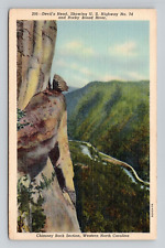 Postcard Devil's Head Chimney Rock North Carolina NC, Vintage Linen A20 picture