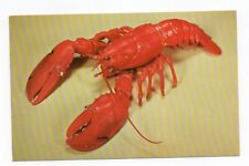 Chrome Postcard, Red Lobster, Leland's Restaurant, North Plymouth, Mass. picture