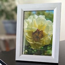 Yellow Peony In 4x6 picture