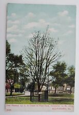 Allegheny, PA West Park Tree Planted by U. S. Grant In 1879, 1908 Postcard J23 picture