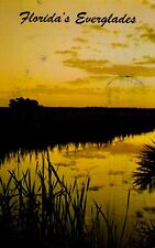 Vintage Florida Postcard   Florida's Everglades  Posted 1968 Chrome picture