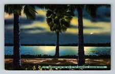 FL-Florida, Moonlight On The Bay, Antique, Vintage Postcard picture