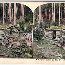 c1900s British Columbia, Canada Stereo Card Shack Cabin Woods Lith Photo BC V11 picture
