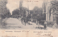 UKRAINE RUSSIA - Nicolaieff, Route du Bois - Mykolaiv 1904 picture