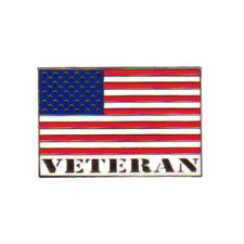brass USA American VETERAN Flag (goldtone) Pins 1-1/8
