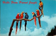 Florida Postcard: Parrot Jungle  picture