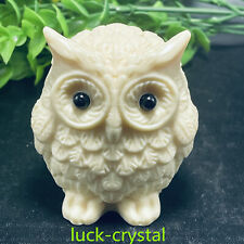 120g Natural Genuine Tagua Nut Hand Carved Owl Reiki Decoration 1pc,43A2 picture