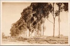 1947 CORONA, California RPPC Photo Postcard 