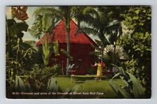 Miami FL-Florida, Entrance & Grounds, Woman with Birds, Vintage Postcard picture