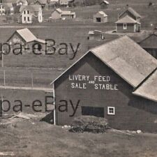 Vintage 1900s RPPC Livery Sale And Feed Stable Minnesota Postcard picture