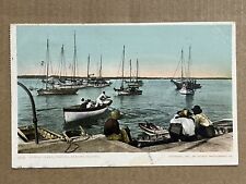 Nassau Bahamas Sponge Fleet Boats Harbor Vintage 1901 Postcard Posted 1906 picture