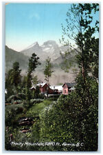 c1910 Trinity Mountain Fernie British Columbia Canada Unposted Postcard picture