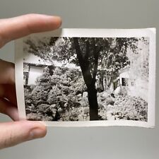1948 Minakami, Japan Original Vintage Photo Furuya Hotel picture
