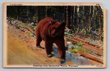 Greetings From Manitowish Waters Wisconsin Posted 1947 Linen Postcard Bear picture