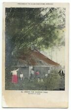 Natives Under The Bamboo Tree Island Curio Store Honolulu Hawaii Postcard picture