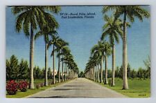 Fort Lauderdale FL-Florida, Royal Palm Island, Antique, Vintage c1952 Postcard picture