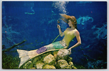 Vintage Postcard - Mermaid Checking her Hairdo - Weeki Wachee Florida - FL picture