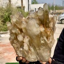 6.72LB Natural Citrine cluster mineral specimen quartz crystal healing picture