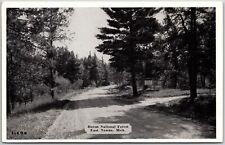 1920's Huron National Forest East Tawas Michigan MI Roadway Posted Postcard picture