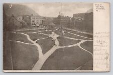 View of City Park Johnstown Pennsylvania 1906 Antique Postcard picture