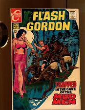 Flash Gordon #13 -Pat Boyette Cover Art (4.0) 1969 picture