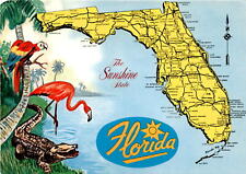 Florida, Fernandina Beach, Jacksonville, St. Augustine, Tallahassee, Postcard picture