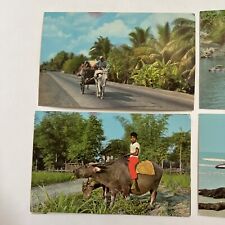 Lot of 5 Philippines Postcards Farmer Village Life MidCentury picture