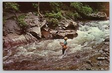 Trout Fishing on Little River Great Smoky Mountains National Park Postcard picture